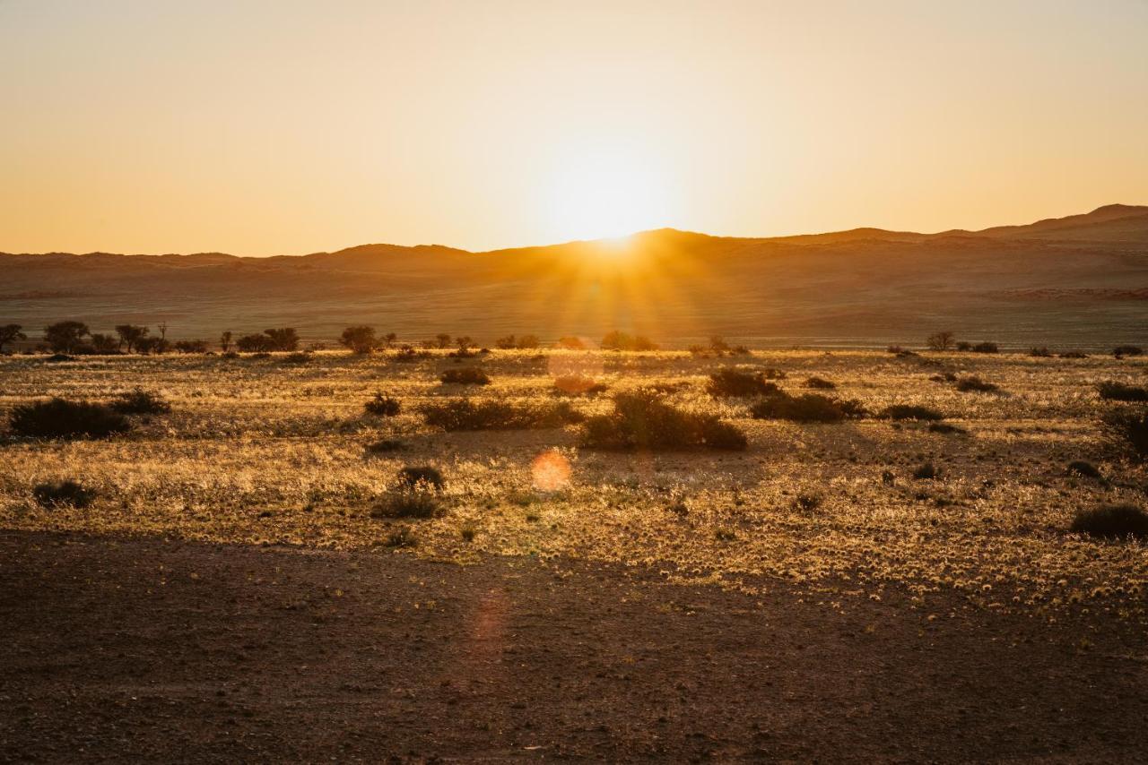 The Desert Grace 索利泰尔 外观 照片
